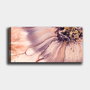 Wallity Lienzo Decorativo Multicolor 50 x 120 cm